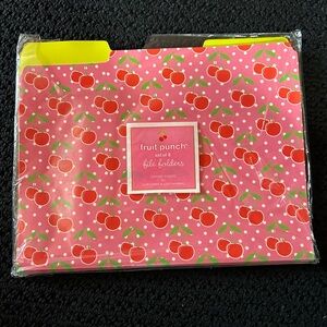 Cherry 🍒🍒🍒 File Folders - Set of 8